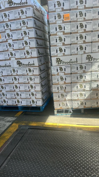 Happy customer celebrating successful project delivery